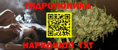 гашик Вязники