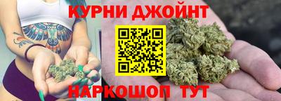 крисы Вязьма
