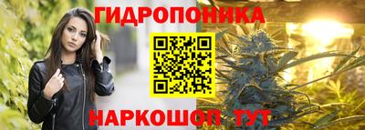 крисы Вязьма