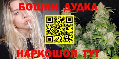 крисы Вязьма