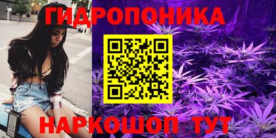 гашик Вязники