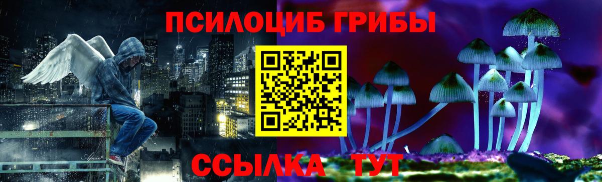 Псилоцибиновые грибы Psilocybe  Вход с VPN  Можайск  Галлюциногенные грибы Psilocybine cubensis 